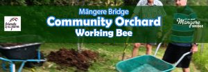 Mangere Bridge Community Orchard Working Bee