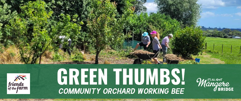 Green Thumbs at Māngere Bridge Community Orchard Working Bee
