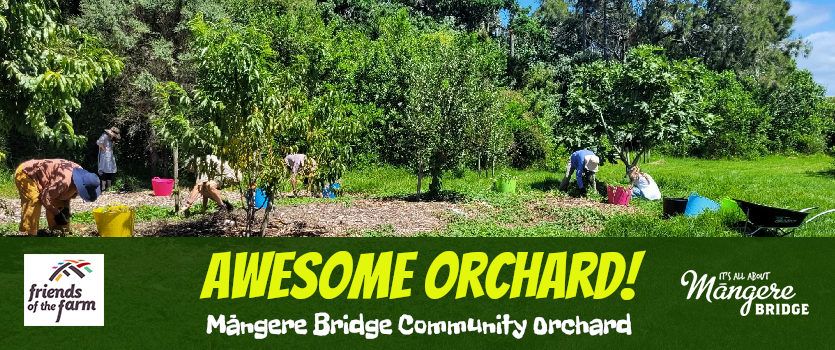 2026 Begins at Māngere Bridge Community Orchard Working Bee