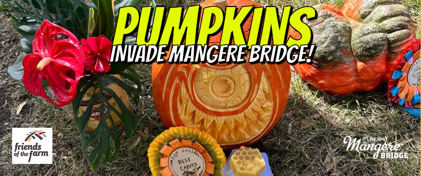 2026 Pumpkin Competition Details and Rules