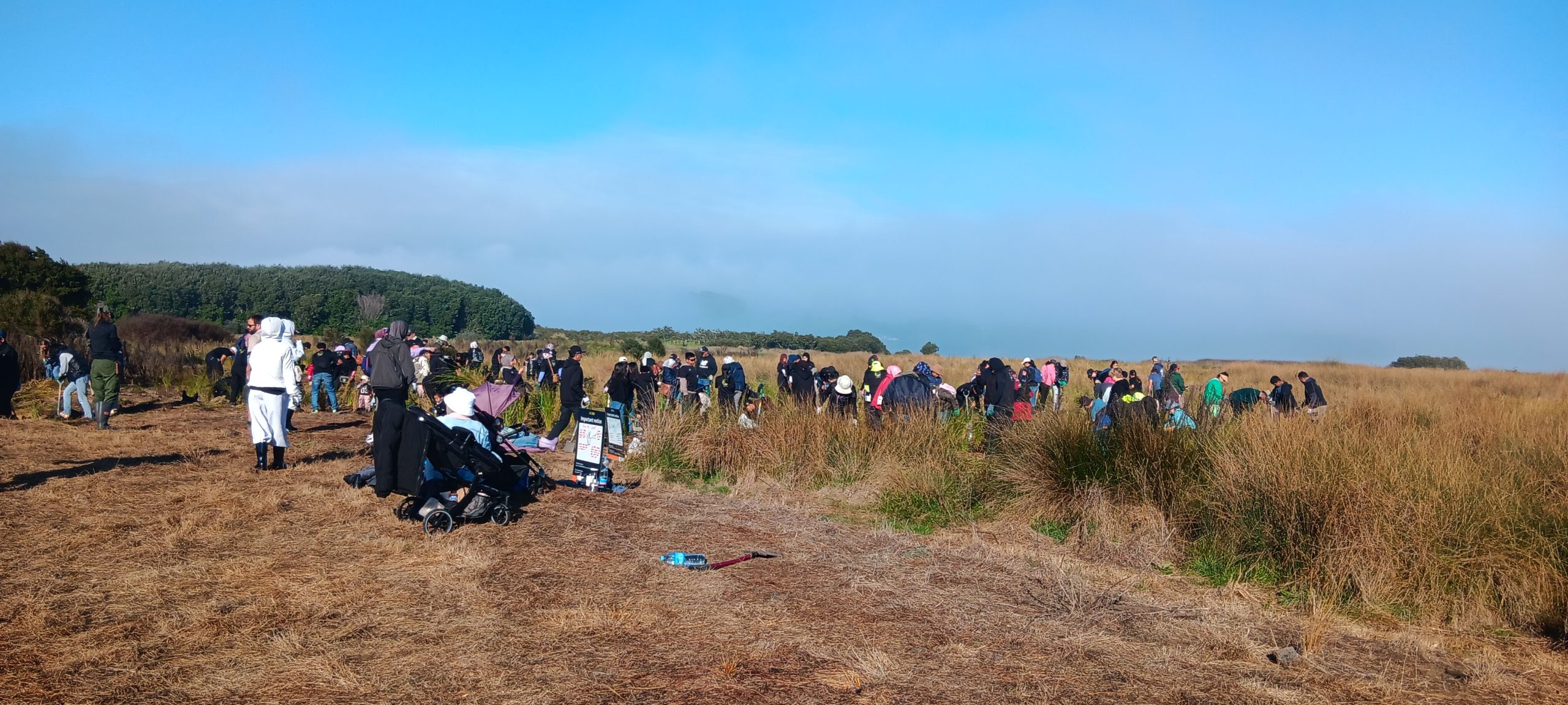Māngere Bridge – A Busy and Rewarding October 