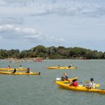 Māngere Kayak Day 2022 a success