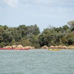 Māngere Kayak Day 2022 a success