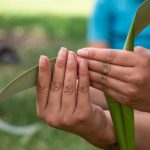 Māngere Kayak Day 2022 a success