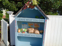 Mangere Bridge Community Orchard Apr 2023 - Feijoa packs