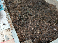 Mangere Bridge Community Orchard Apr 2023 - Mulched